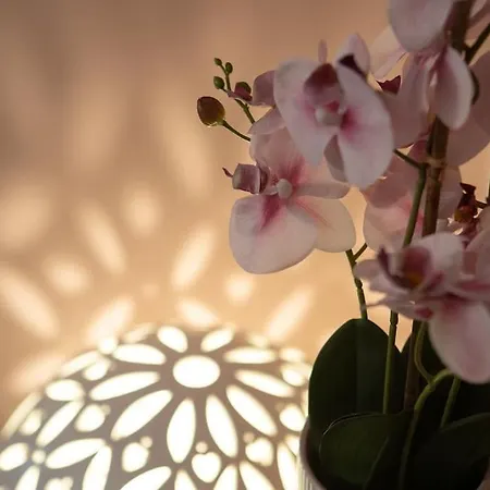 Apartment Enjoy - Elegante Con Giardino *